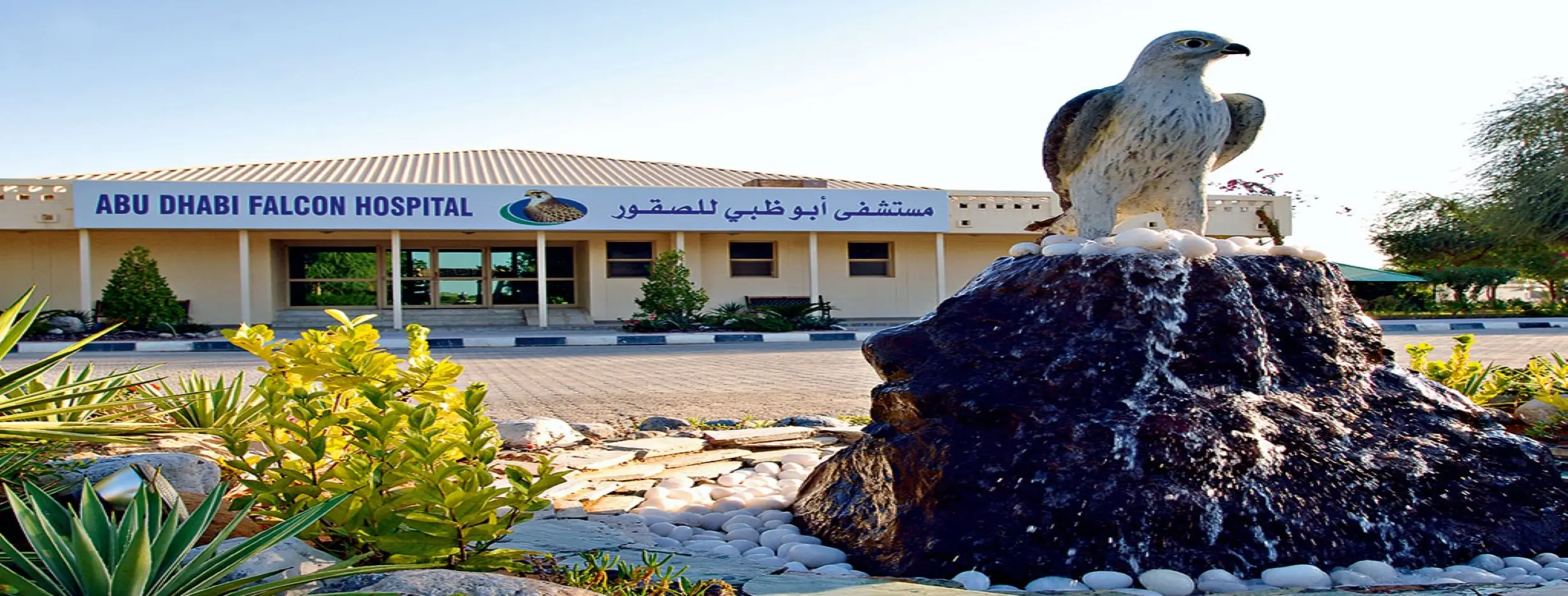 Image for Falcon Hospital